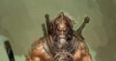 Герои оригинальной Diablo III